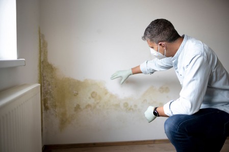 Moisissure mur intérieur humidité