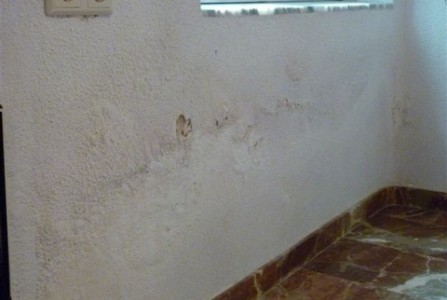 Photo Toupret, mur humide, solutions ZOLPAN