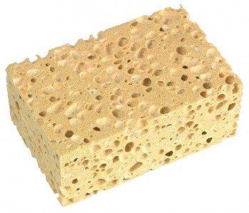 Éponge végétale